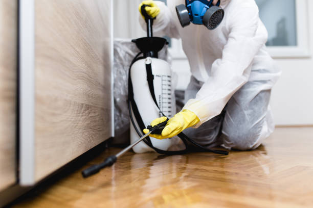 Best Affordable Pest Control Services  in Hawaiian Beaches, HI
