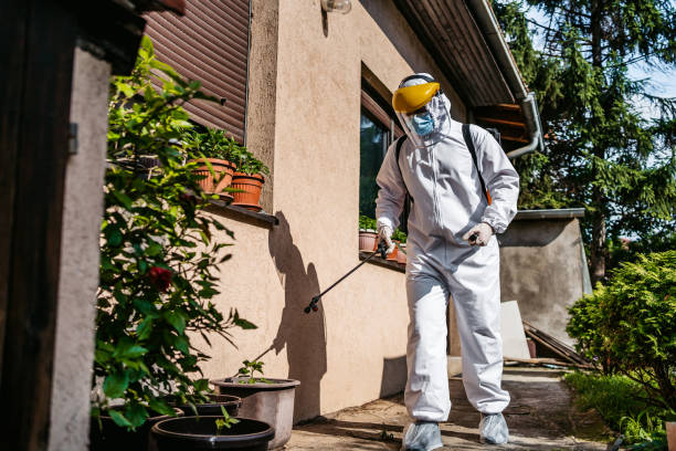 Best Emergency Pest Control  in Hawaiian Beaches, HI