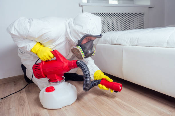 Best Best Pest Control Companies  in Hawaiian Beaches, HI