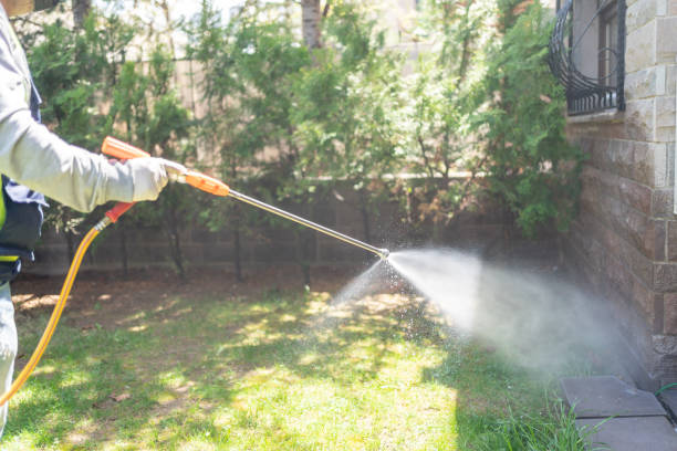 Best Pest Removal Services  in Hawaiian Beaches, HI