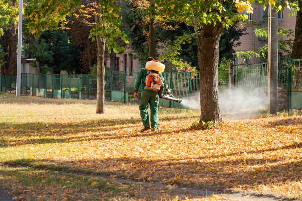 Best Wasp Removal Services  in Hawaiian Beaches, HI